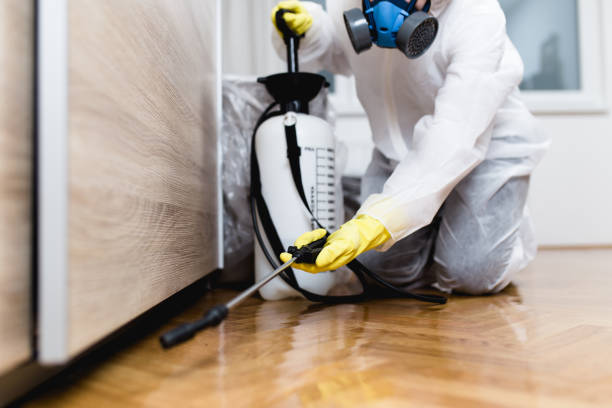 Best Ant Control Services  in Palm Springs, FL