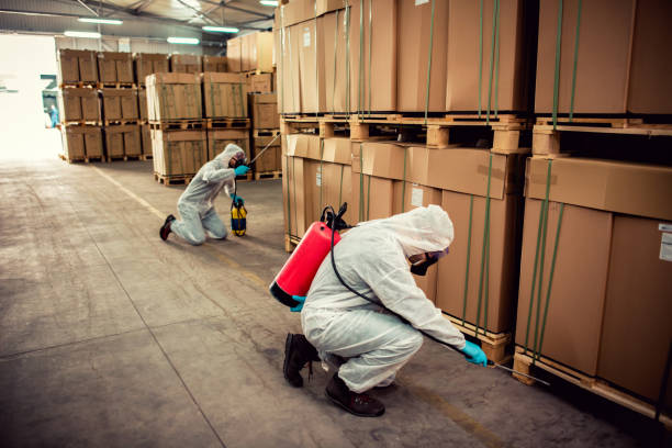 Wasp Removal Services in Palm Springs, FL