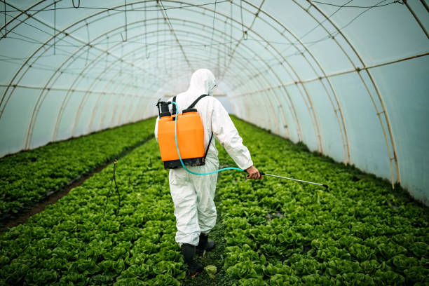Best Residential Pest Control  in Palm Springs, FL