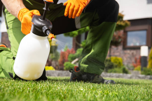Best Affordable Pest Control Services  in Palm Springs, FL