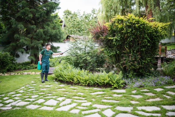 Best Local Pest Control Services  in Palm Springs, FL
