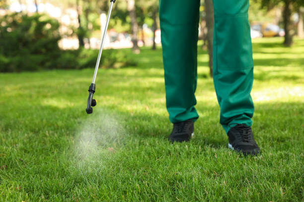 Best Flea Control Services  in Palm Springs, FL