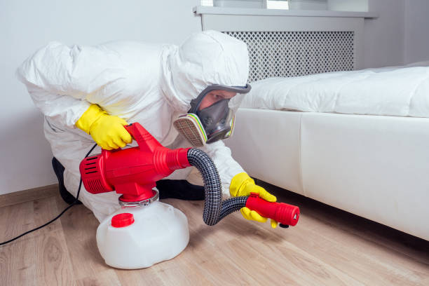 Best Best Pest Control Companies  in Palm Springs, FL