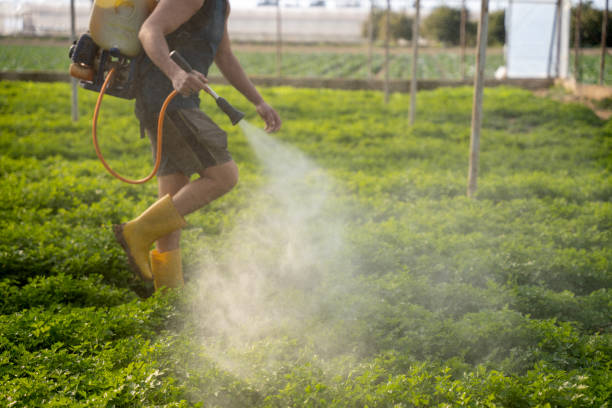 Best Residential Pest Control  in Palm Springs, FL