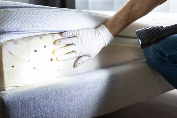 Pest Control Cost in Palm Springs, FL