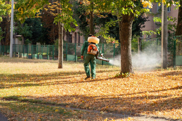 Best Rat Extermination Near Me  in Palm Springs, FL