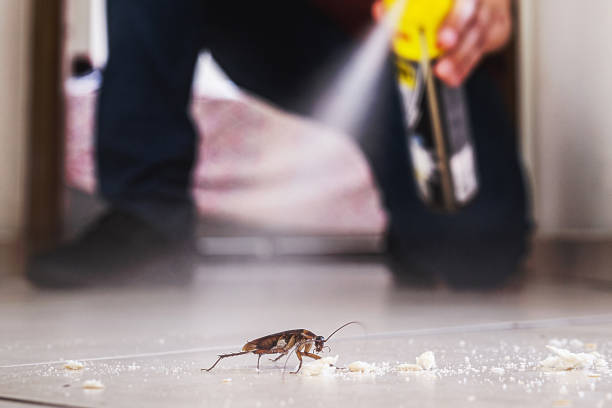 Best Pest Prevention Services  in Palm Springs, FL