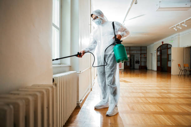 Best Mosquito Control Services  in Palm Springs, FL