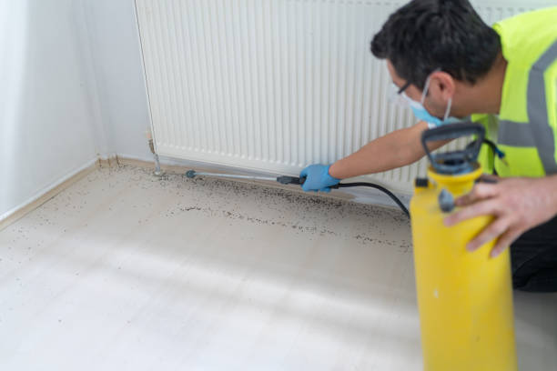 Best Bed Bug Extermination  in Palm Springs, FL
