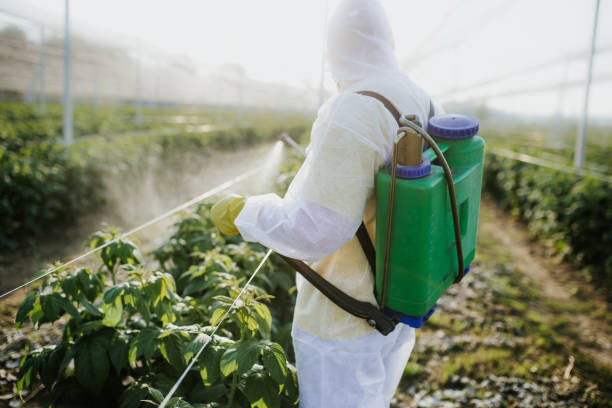 Best Ant Control Services  in Palm Springs, FL